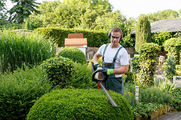 Lawn Watering Services in Shakopee, MN